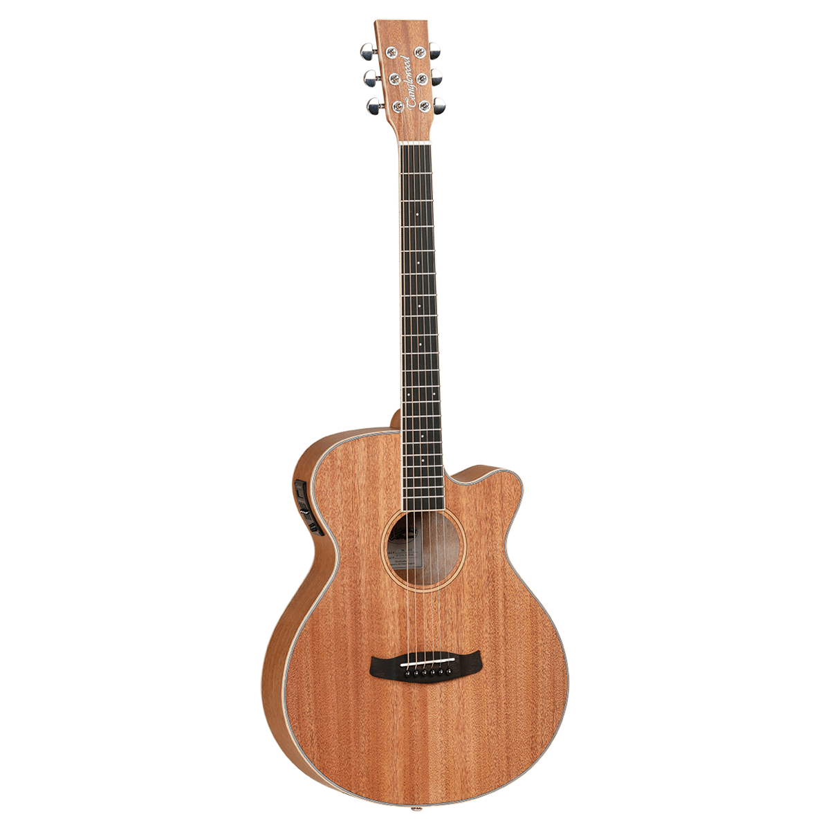 Tanglewood Home Page Tanglewood Union Super Folk C/E Guitar Pack with DCM Premium Case (TWUSFCE-P) - Byron Music