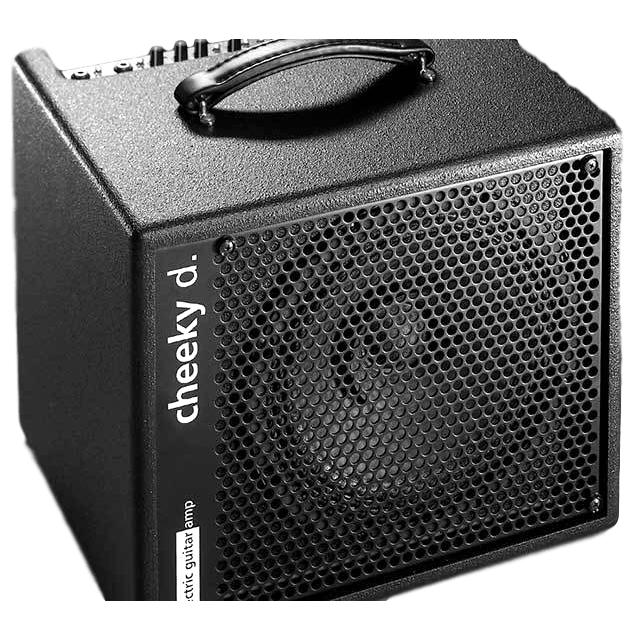 AER Amps AER Cheeky D 200W Electric Guitar Amplifier - Byron Music