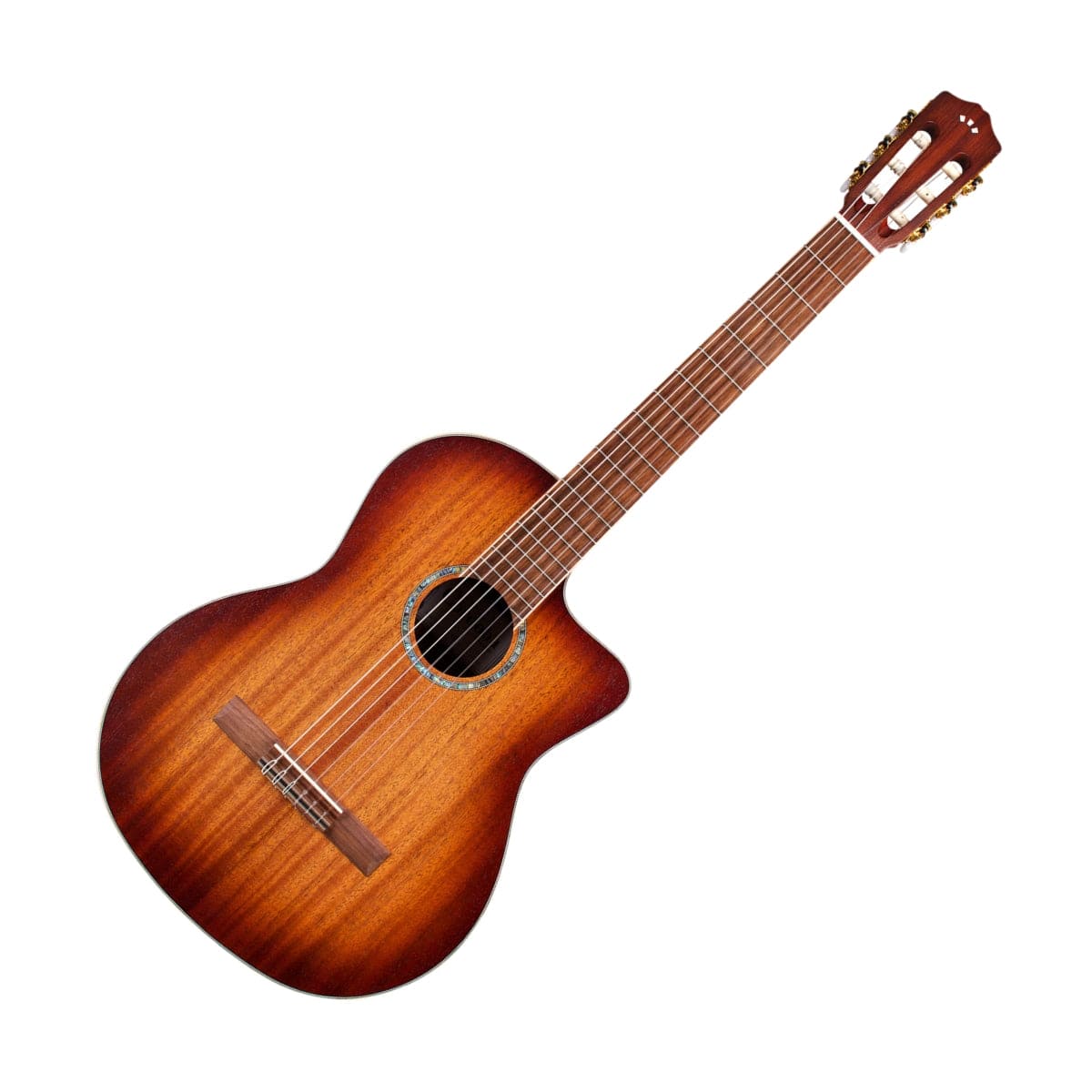 Cordoba Guitar Cordoba C4-CE Classical Guitar Solid Top w/ Pickup - Byron Music