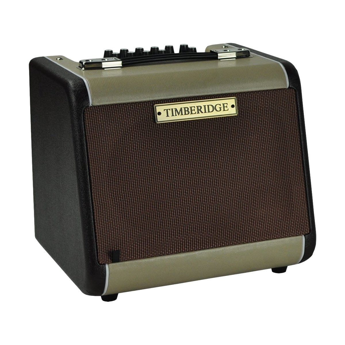Timberidge Amps Timberidge Acoustic Guitar Amplifier 60W TR-JA60 - Byron Music