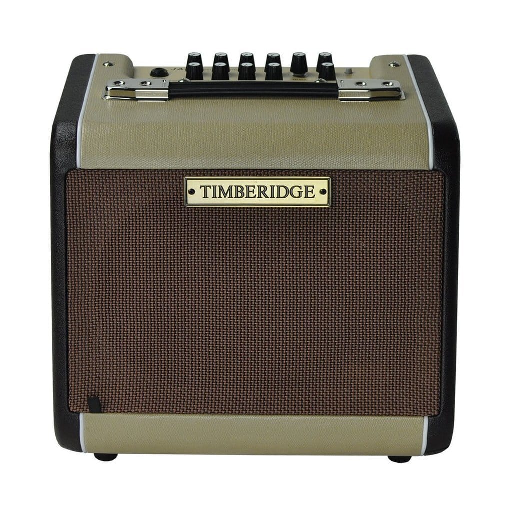 Timberidge Amps Timberidge Acoustic Guitar Amplifier 60W TR-JA60 - Byron Music